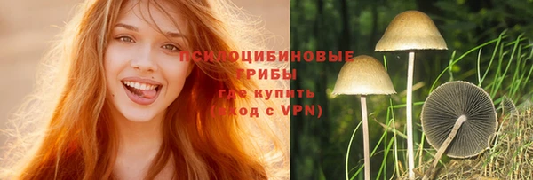 бошки Абинск