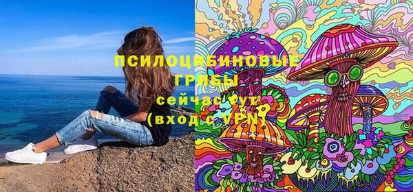 бошки Абинск