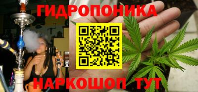 трава Кимры