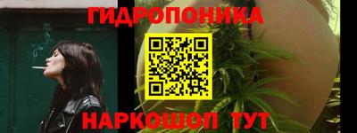 трава Кимры
