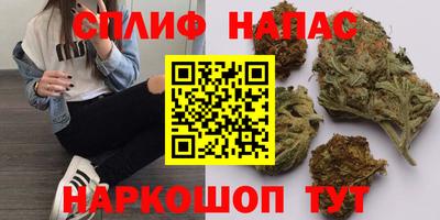 трава Кимры