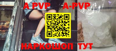 герыч Кингисепп