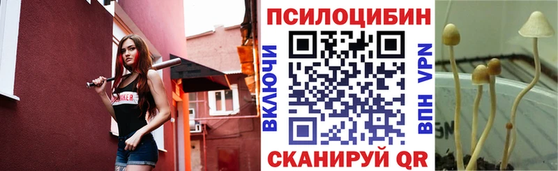 Псилоцибиновые грибы мицелий  Нефтеюганск 