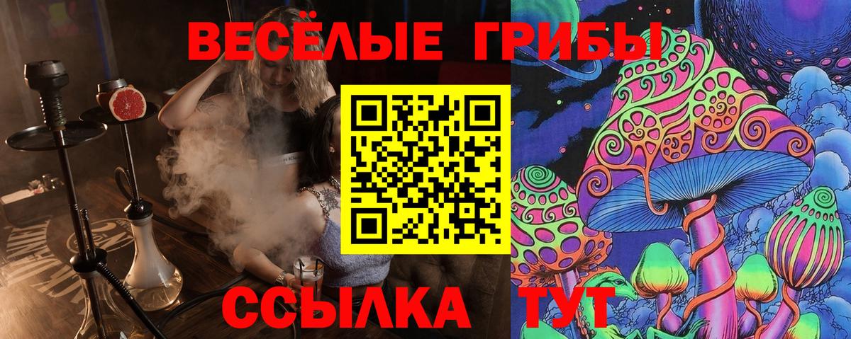 Псилоцибиновые грибы мицелий Нефтеюганск