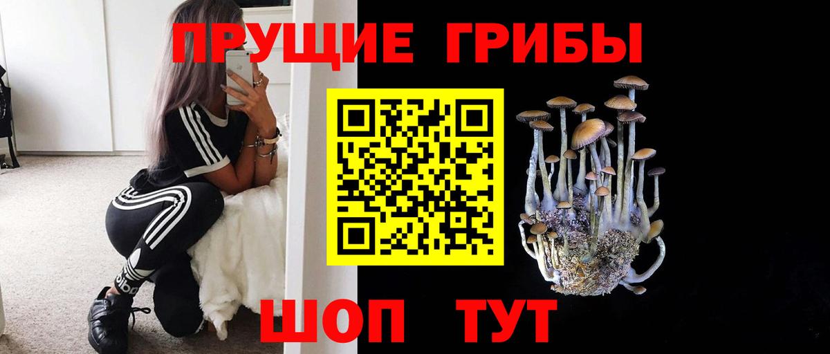 Нефтеюганск  Галлюциногенные грибы Cubensis  Вход с VPN 